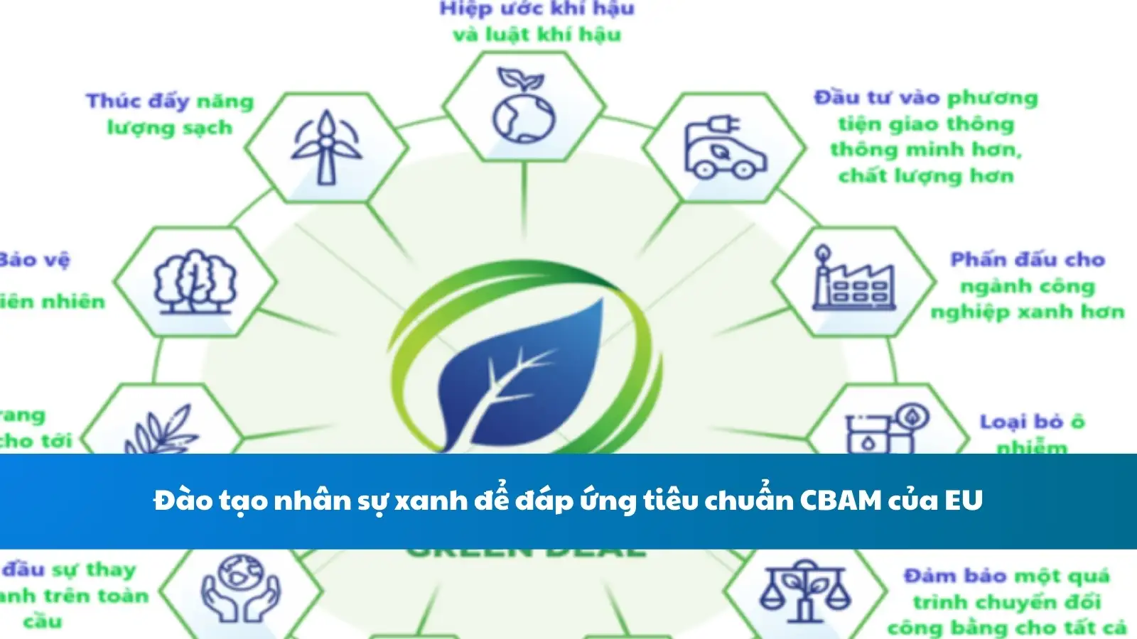 Đào tạo nhân sự xanh để đáp ứng tiêu chuẩn CBAM của EU