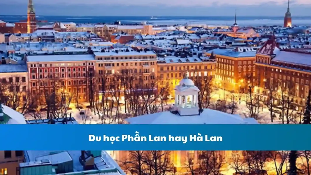 Du học Phần Lan hay Hà Lan: Lựa chọn nào phù hợp với bạn?