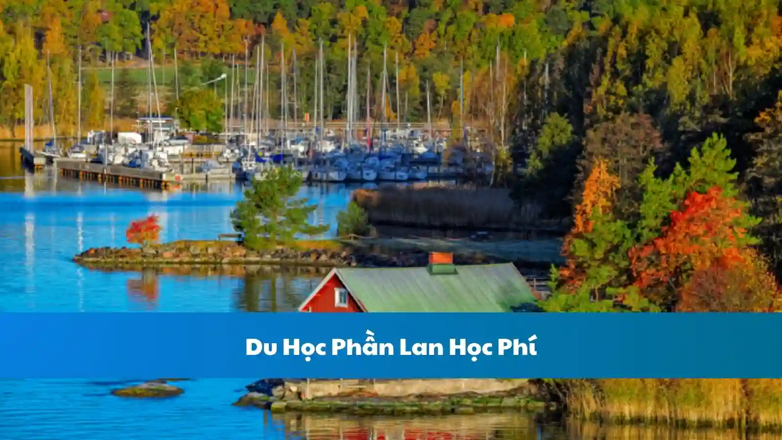 Du Học Phần Lan Học Phí
