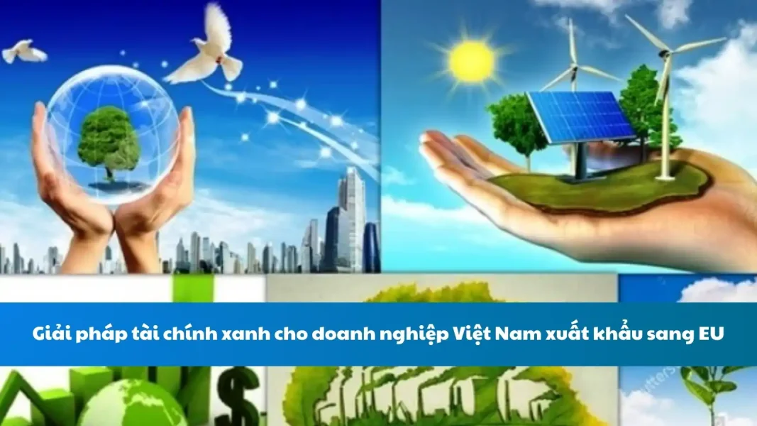 Giải pháp tài chính xanh cho doanh nghiệp Việt Nam xuất khẩu sang EU