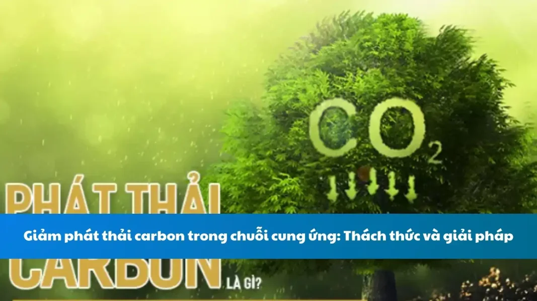 Giảm phát thải carbon trong chuỗi cung ứng: Thách thức và giải pháp