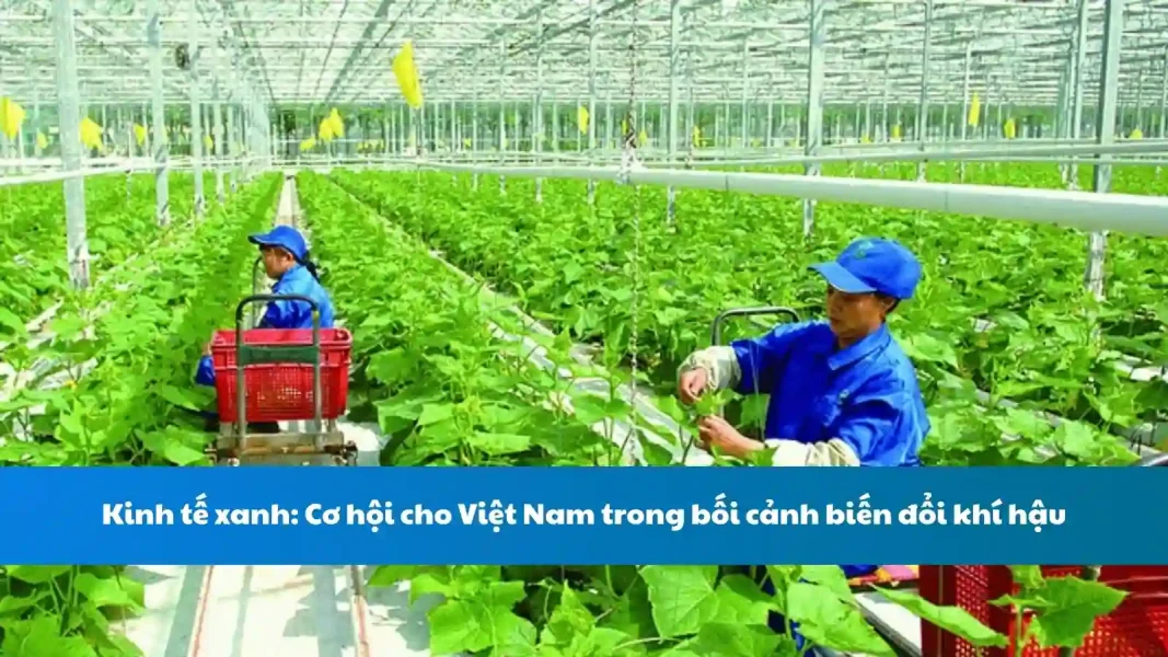 Kinh tế xanh: Cơ hội cho Việt Nam trong bối cảnh biến đổi khí hậu