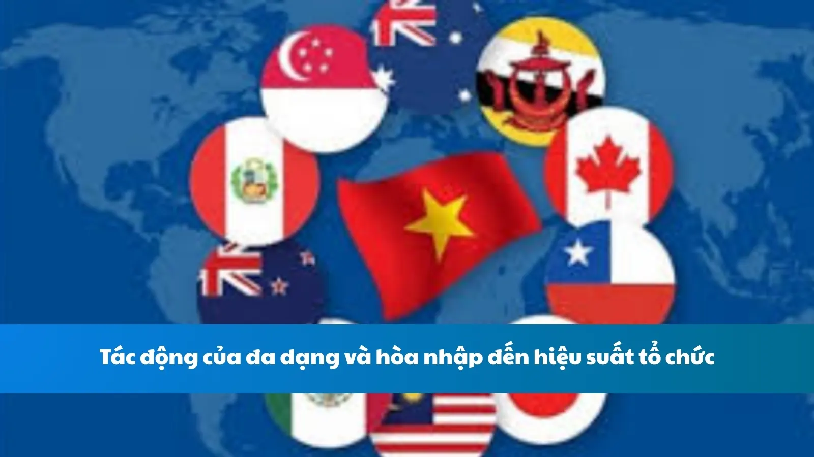 Tác động của đa dạng và hòa nhập đến hiệu suất tổ chức