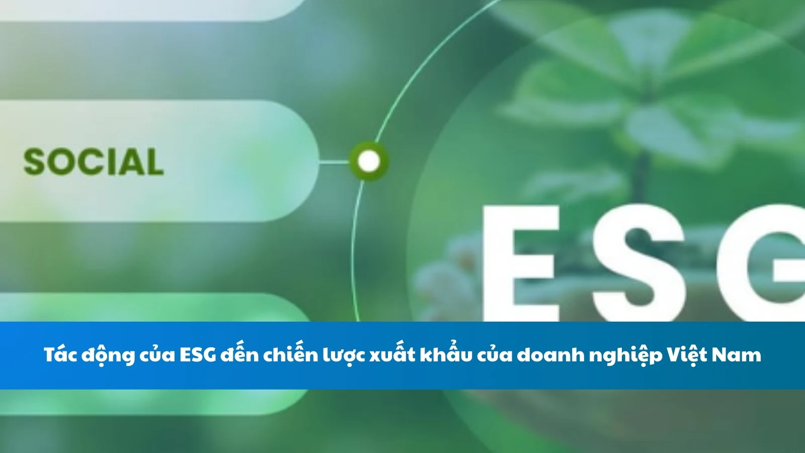 Tác động của ESG đến chiến lược xuất khẩu của doanh nghiệp Việt Nam