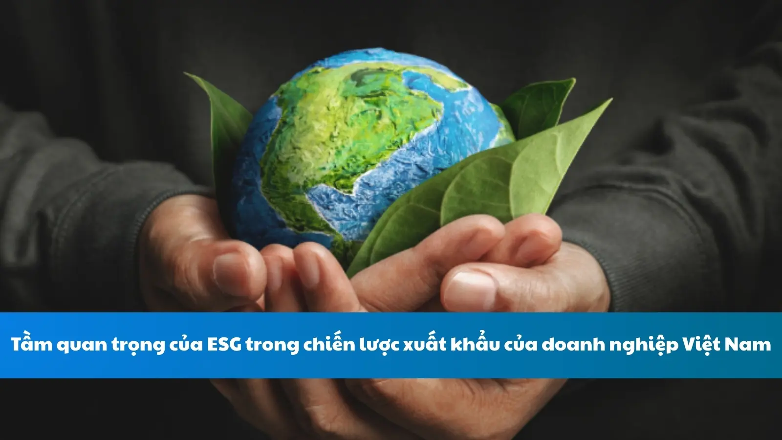 Tầm quan trọng của ESG trong chiến lược xuất khẩu của doanh nghiệp Việt Nam