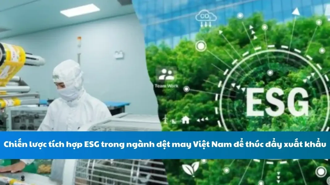 Chiến lược tích hợp ESG trong ngành dệt may Việt Nam để thúc đẩy xuất khẩu