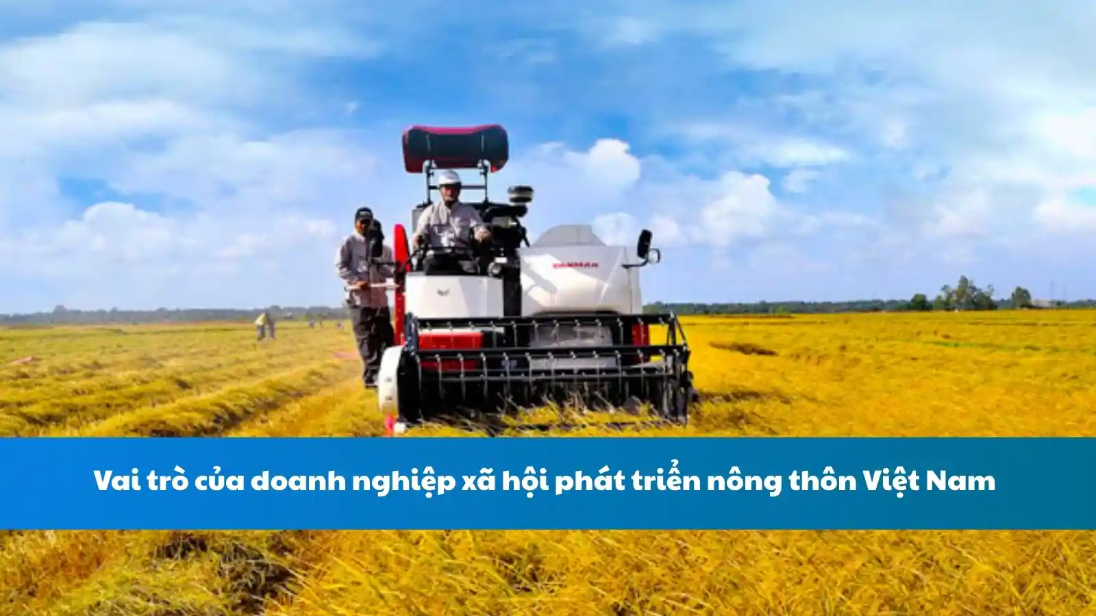 Vai trò của doanh nghiệp xã hội trong phát triển nông thôn Việt Nam
