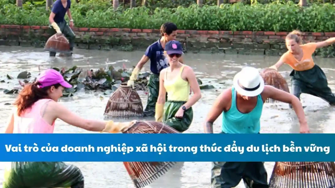 Vai trò của doanh nghiệp xã hội trong thúc đẩy du lịch bền vững
