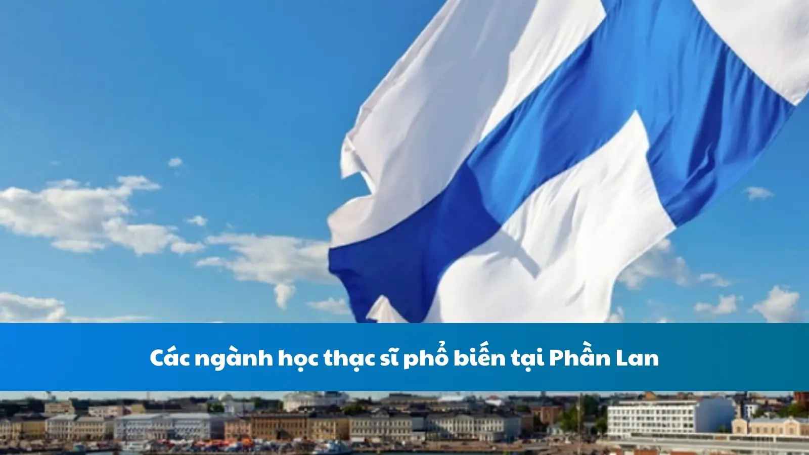 Các ngành học thạc sĩ phổ biến tại Phần Lan