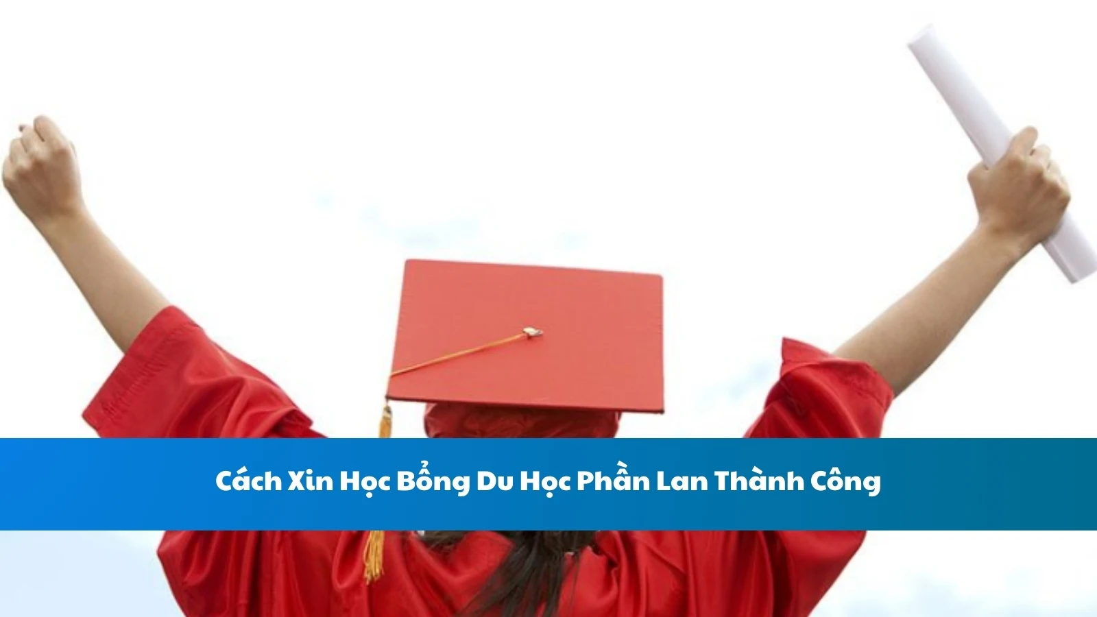 Cách Xin Học Bổng Du Học Phần Lan Thành Công
