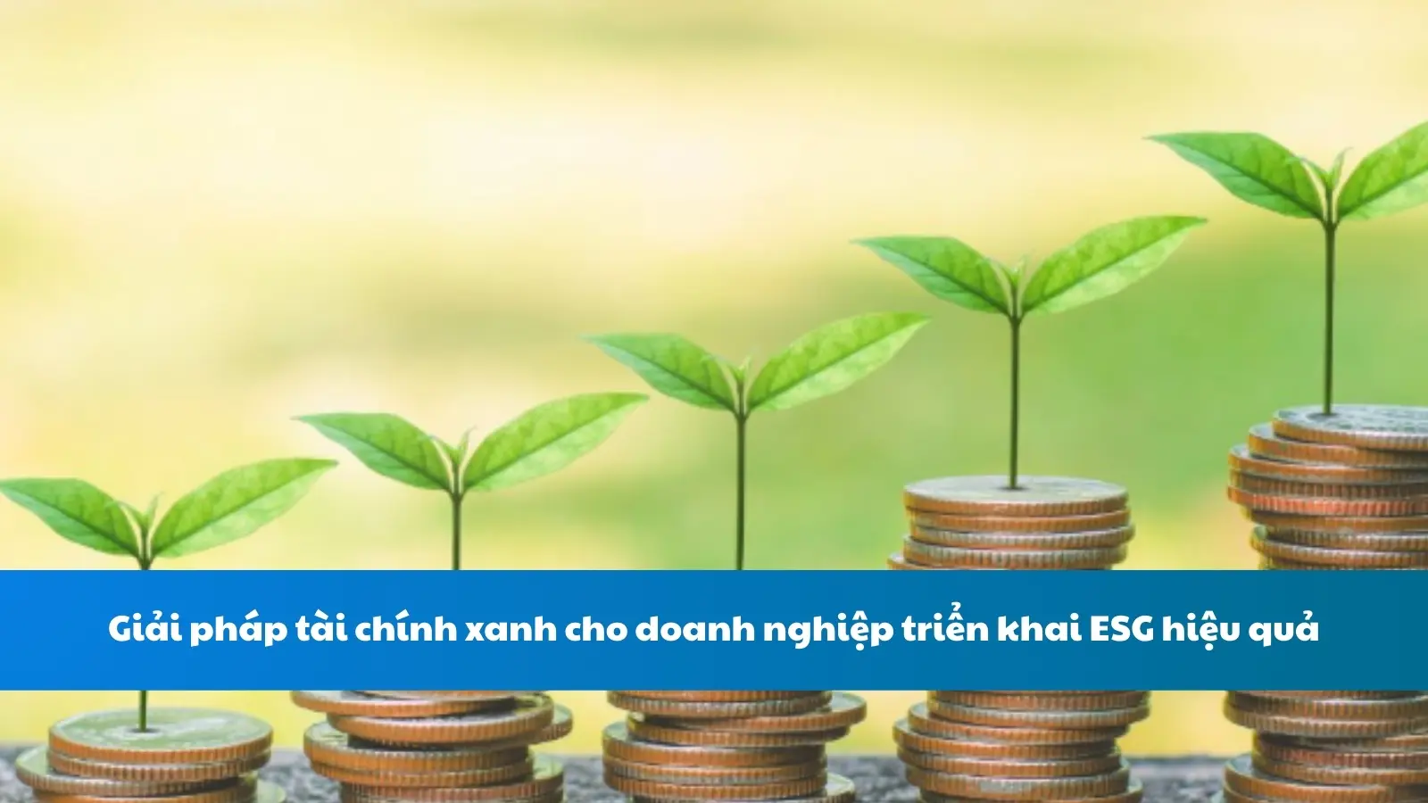 Giải pháp tài chính xanh cho doanh nghiệp triển khai ESG hiệu quả