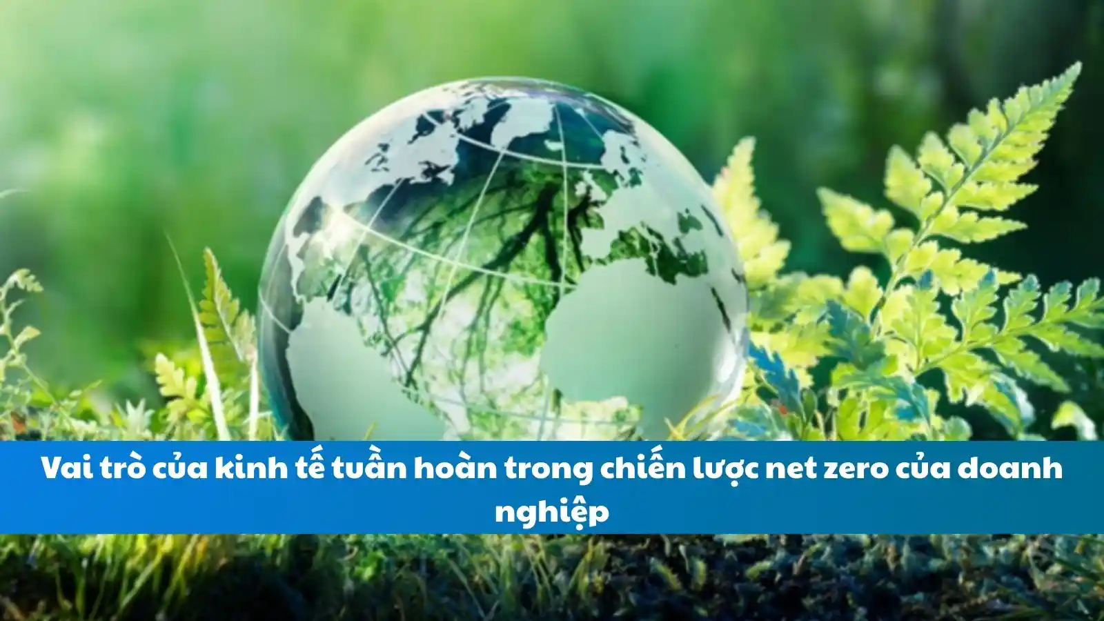 Đào tạo nhân sự ESG để đáp ứng tiêu chuẩn CBAM của EU