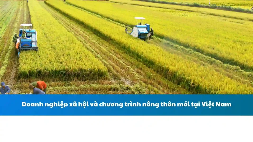Doanh nghiệp xã hội và chương trình nông thôn mới tại Việt Nam