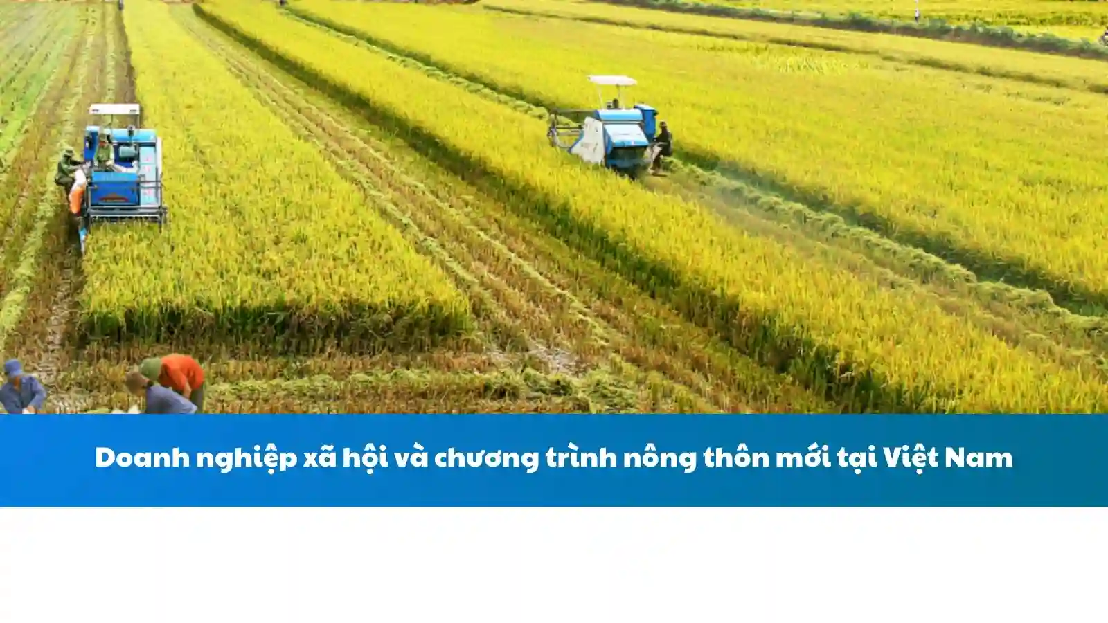 Doanh nghiệp xã hội và chương trình nông thôn mới tại Việt Nam