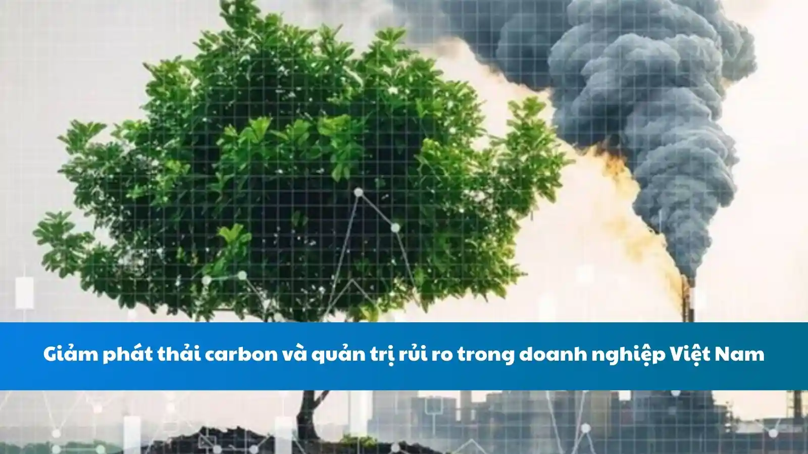 Giảm phát thải carbon và quản trị rủi ro trong doanh nghiệp Việt Nam
