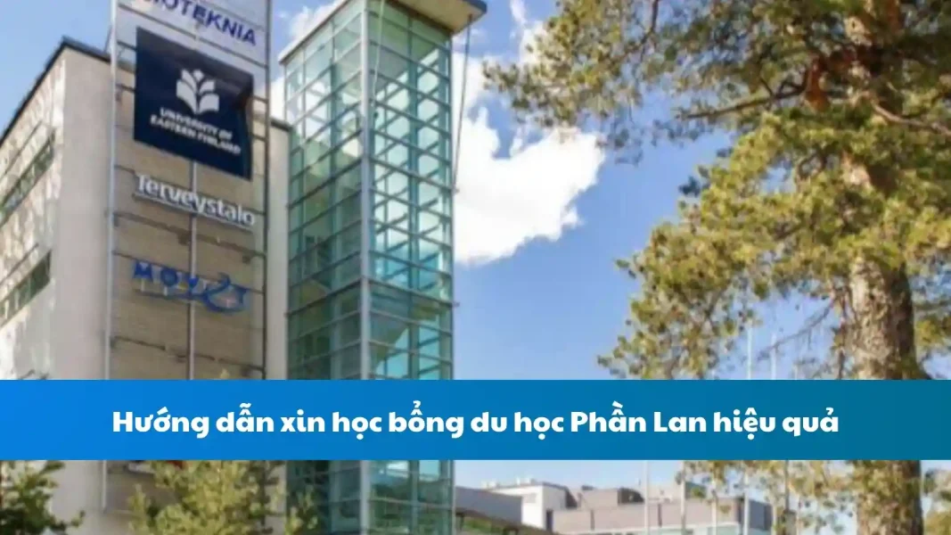 Hướng dẫn xin học bổng du học Phần Lan hiệu quả