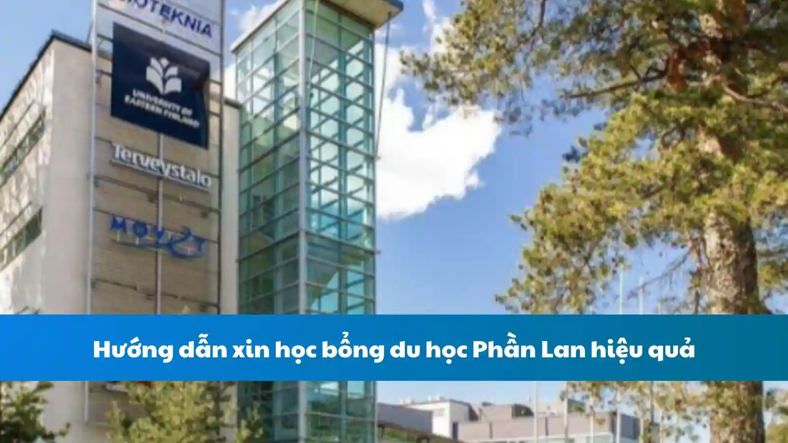 Hướng dẫn xin học bổng du học Phần Lan hiệu quả