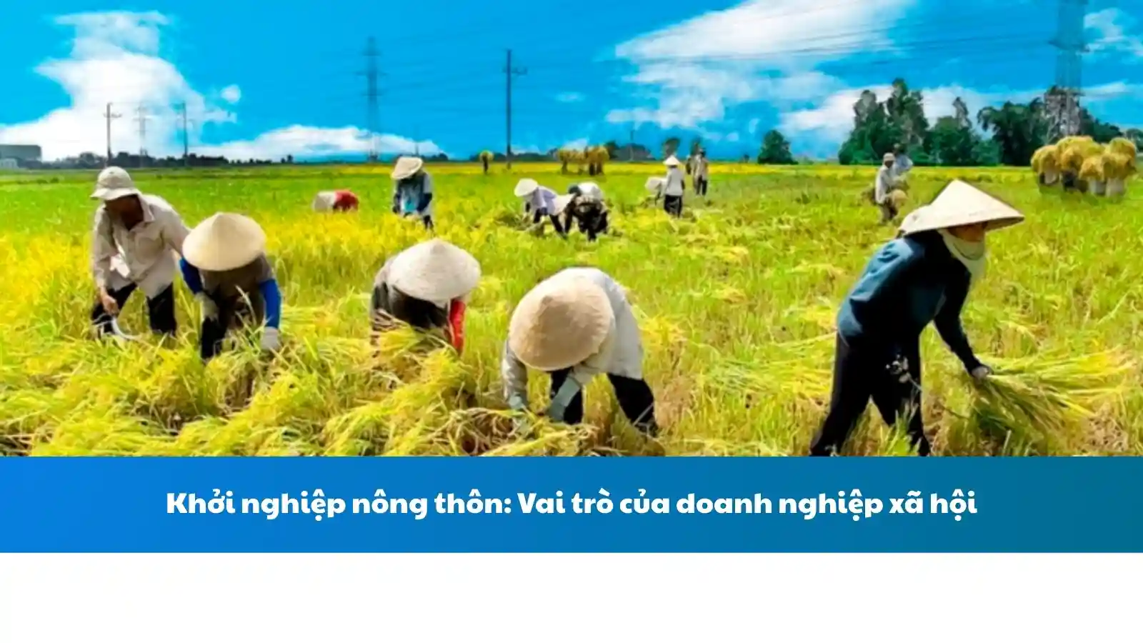 Khởi nghiệp nông thôn: Vai trò của doanh nghiệp xã hội