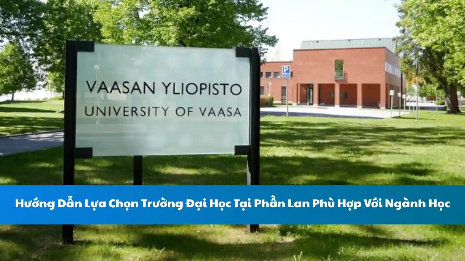 Hướng Dẫn Lựa Chọn Trường Đại Học Tại Phần Lan Phù Hợp Với Ngành Học