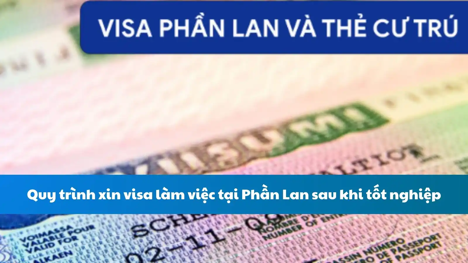 Quy trình xin visa làm việc tại Phần Lan sau khi tốt nghiệp