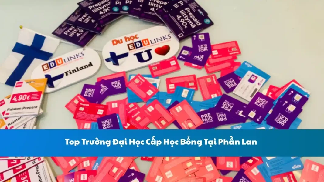 Top Trường Đại Học Cấp Học Bổng Tại Phần Lan