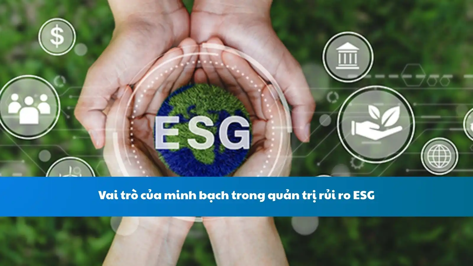 Vai trò của minh bạch trong quản trị rủi ro ESG