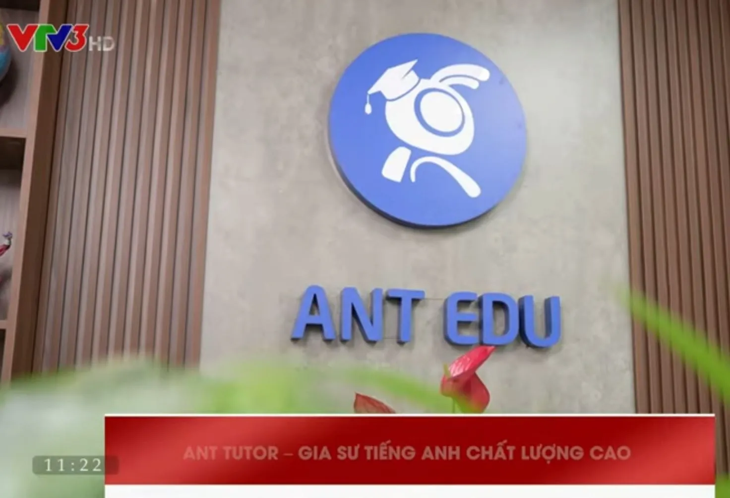 VTV3 ĐƯA TIN VỀ ANT TUTOR