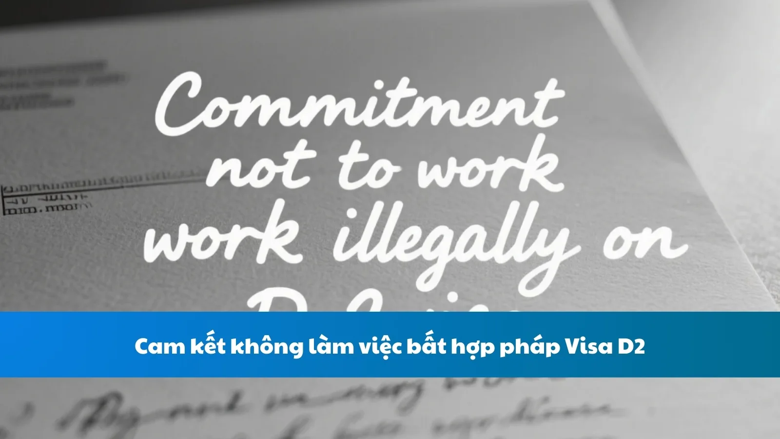 Cam kết không làm việc bất hợp pháp Visa D2