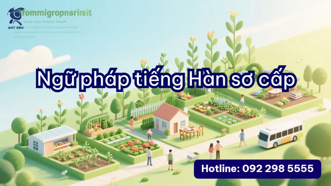 Ngữ pháp tiếng Hàn sơ cấp (cấu trúc câu tiếng Hàn, ngữ pháp beginner)