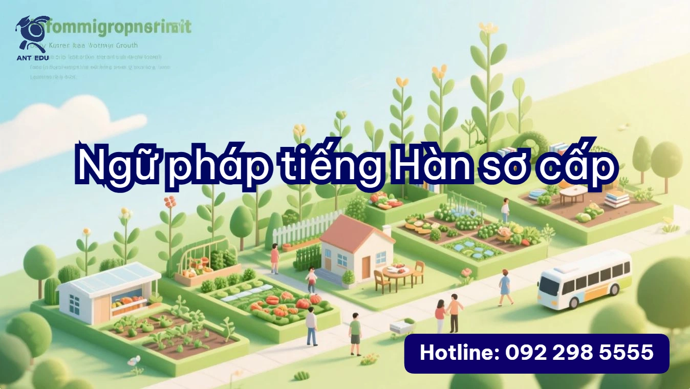 Ngữ pháp tiếng Hàn sơ cấp (cấu trúc câu tiếng Hàn, ngữ pháp beginner)